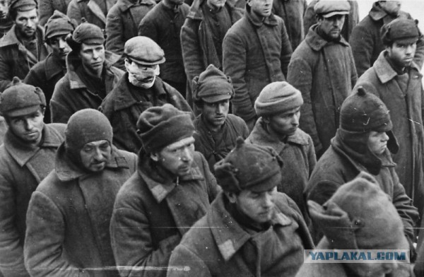 6 неизвестных фактов о Советско-финской войне