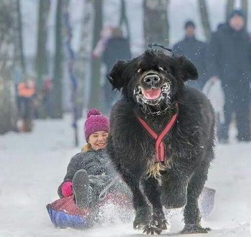 Интересные и трогательные снимки