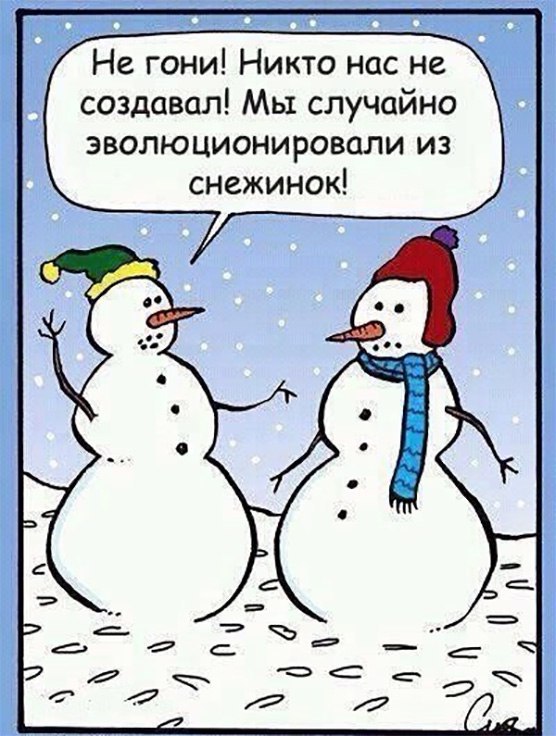Возникновение и эволюция человека. Есть вопросы.