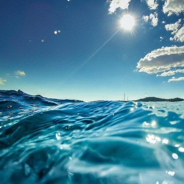 Моменты, запечатлённые на фото и просто позитив 5