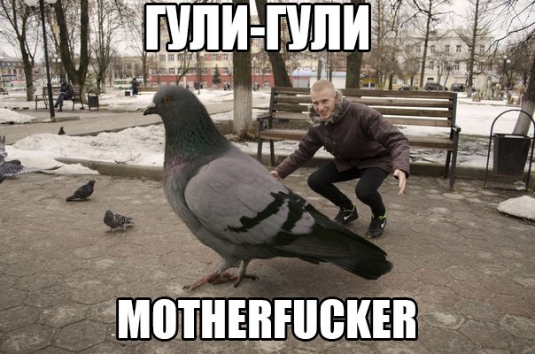 Выглянул в окно и испугался!
