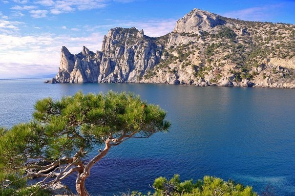 Моменты, запечатлённые на фото и просто позитив 5