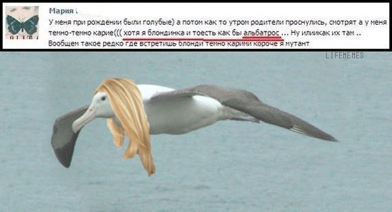 Деградировать подано