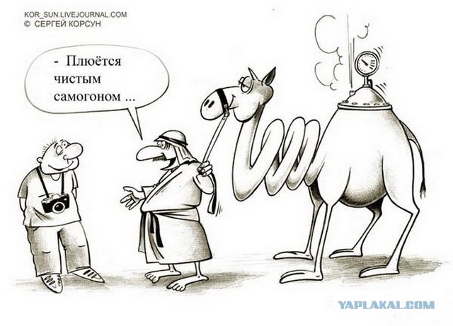 Сергей Корсун (карикатурки)
