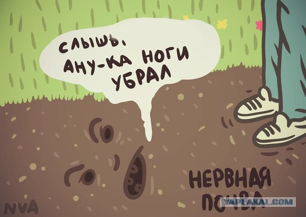 Немного нестандартного юмора в картинках