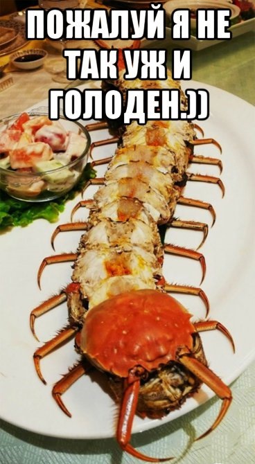 Просто юмор 11