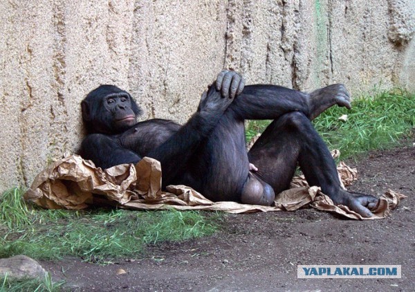 10 звезд на пляже