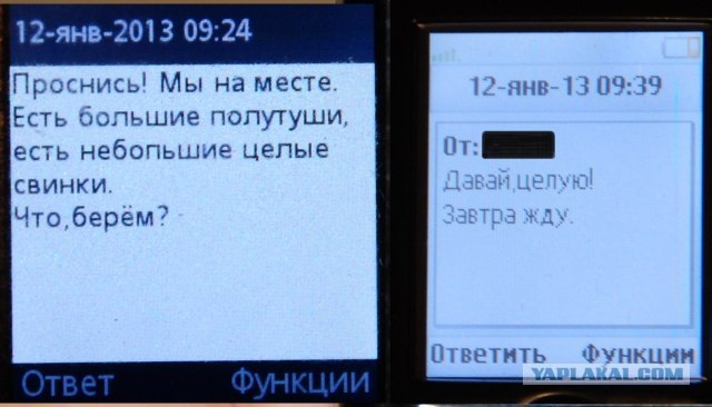 Читайте текст правильно