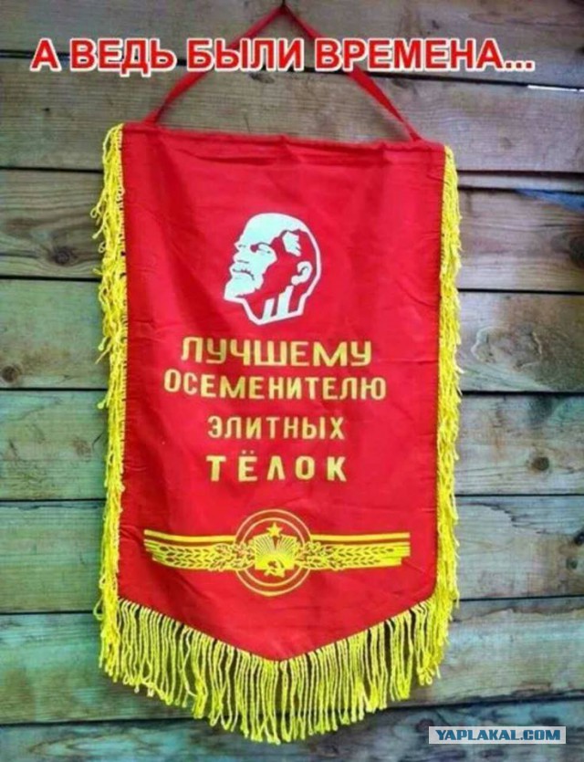 Что делать с мужем или новый гендеросрач