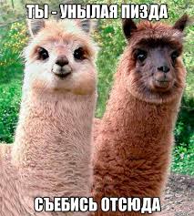 Солончак Уюни и рядом. От границы Аргентины до Уюни