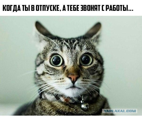 Итоги проверки пользователей