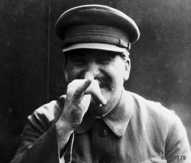 "Россия - оккупант" : что вы сделаете, если на ваш чемодан наклеят такой стикер?