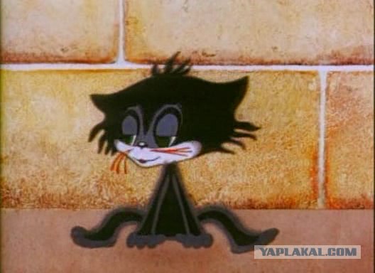 За что ты предал меня, человек?