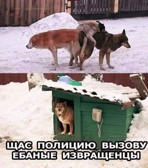 Немного картинок для настроения