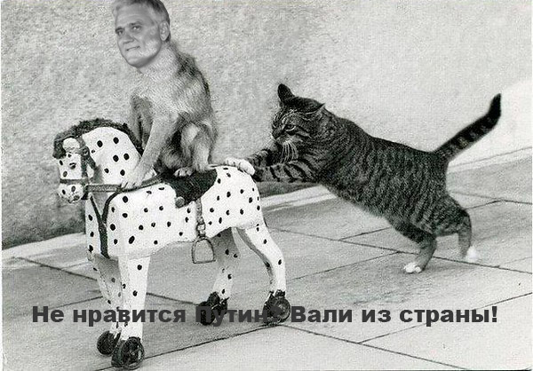 Не нравится Путин? Вали из страны!