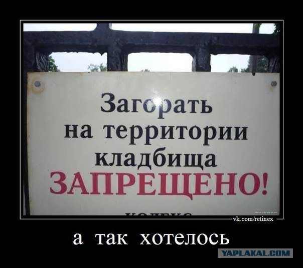 Разные по свежести картинки. Опять