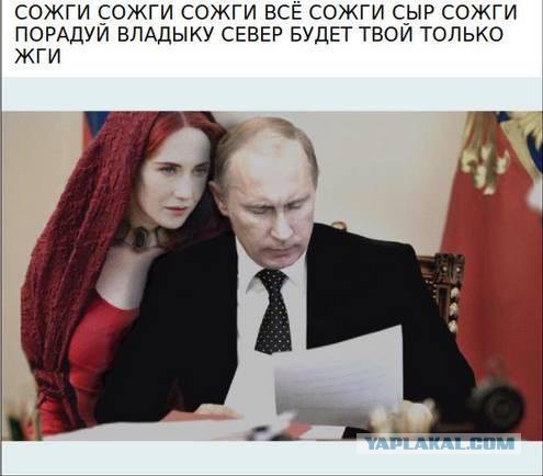Финский сыр не доехал до Петербурга: тонну «санкционки» из Европы сожгли в печи