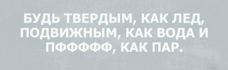 Куда катится жизнь