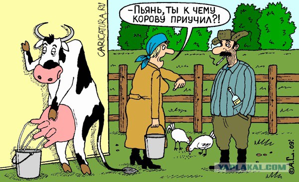 Как живут люди в деревне...