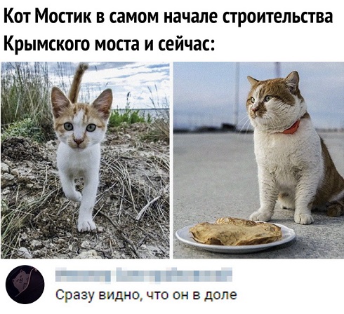 Картинки с надписями и анекдоты