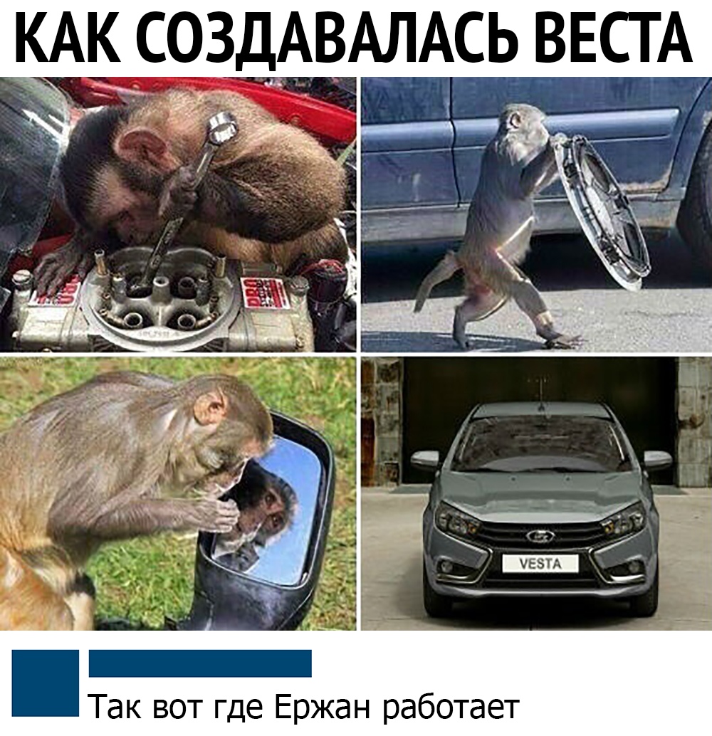 13296319.jpg