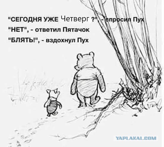 Картинки всякие 17.09.2019