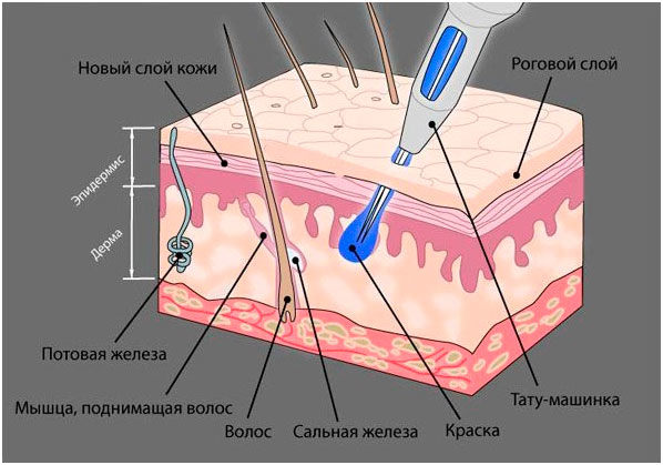 10 фактов о человеке, которые мало кто знает