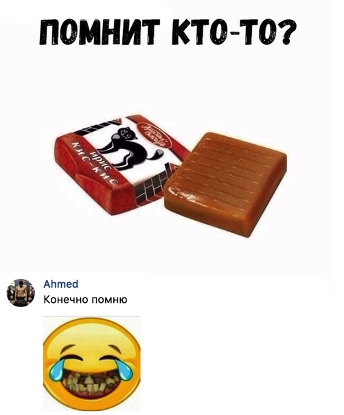 Прикольные картинки и фото с надписями и коментами????