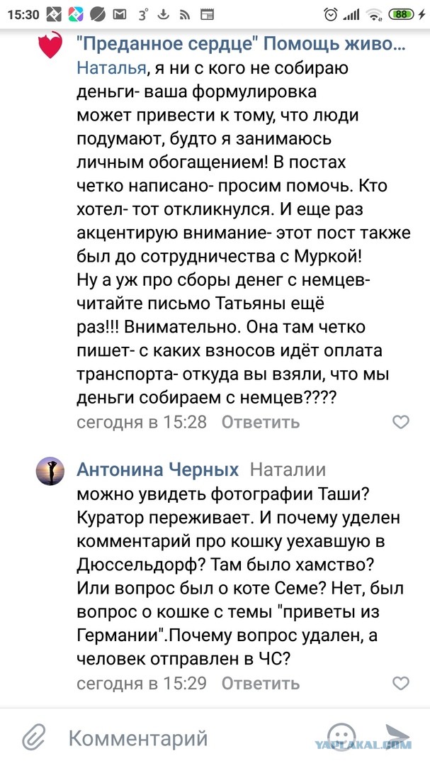 Помогите вернуть кота! Приют "Преданное сердце" украл кота и не отдает!-2