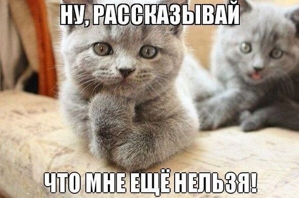 Нифинасебе! И другие выражения лиц
