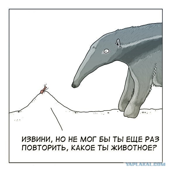 Чуток картинок 01.02.20