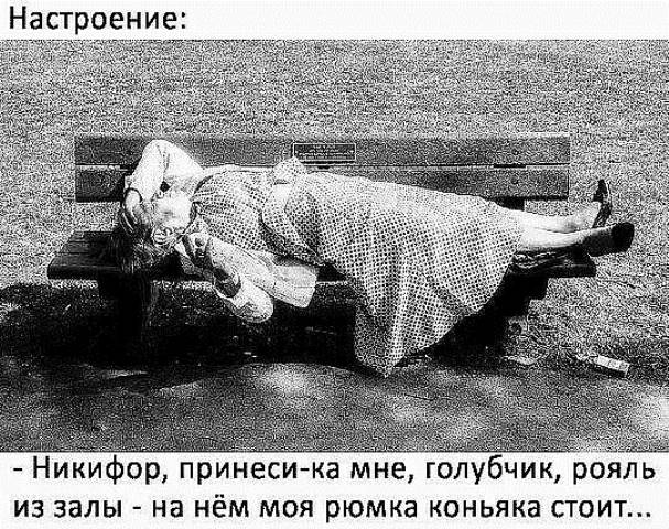 Забавные шутки, картинки и фразы из этих ваших интернетов