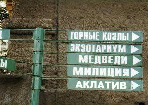 Фотожаба : Поздравил с днем рождения !