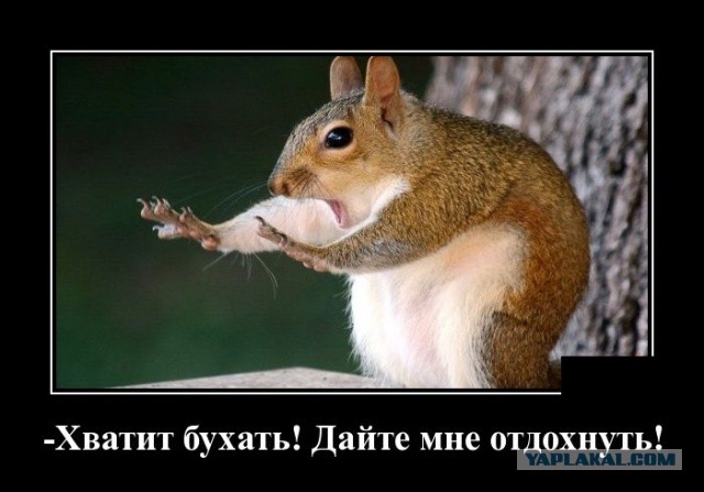 Как успокоить пьяного дебошира?