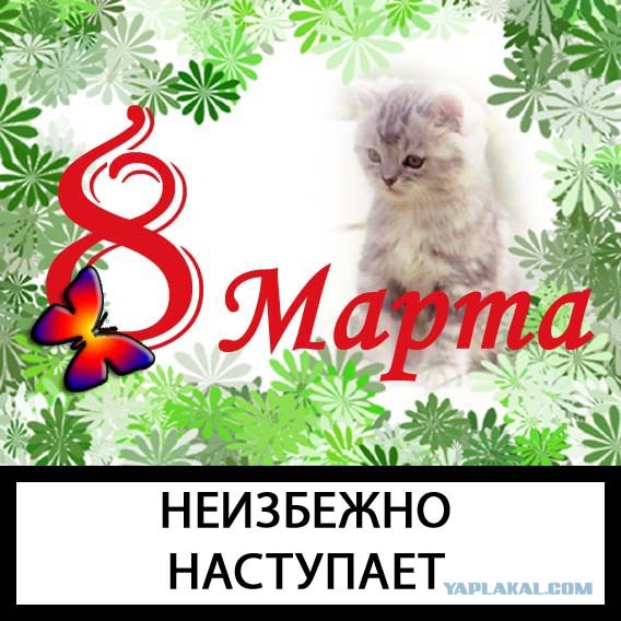 Фотожаба: Бурение убивает
