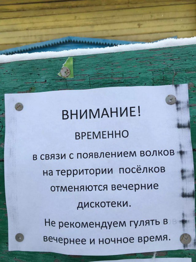 Баянисто-небаянистый юмор 15.11.20