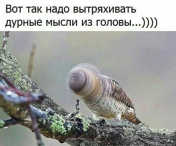Юмор в картинках 16.11.20