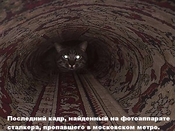 С миру по нитке 28.11