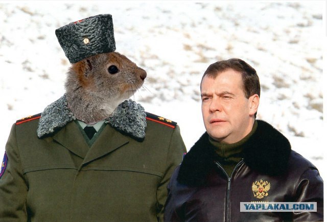 Бравые ребята