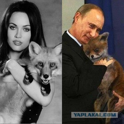 Таксидермия + наркомания