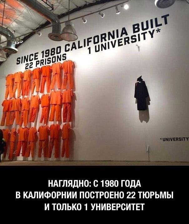За последние несколько лет Нидерландам пришлось закрыть 24 тюрьмы, потому что для них нет столько заключенных