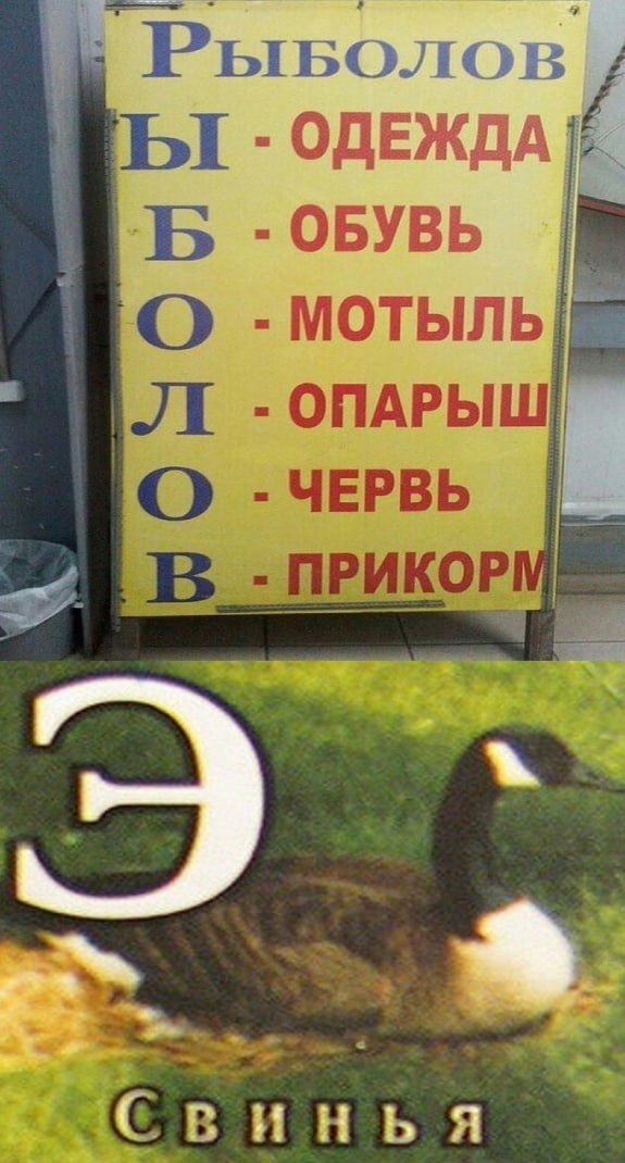 Идиотские картинки