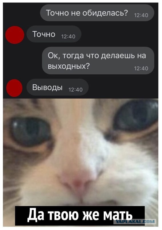 Так себе картинки 13.04.21