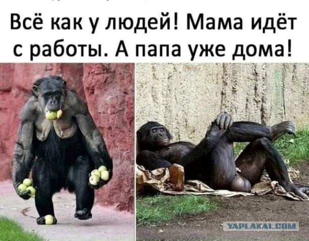 Картинки с надписями и всякие жизненные фразы