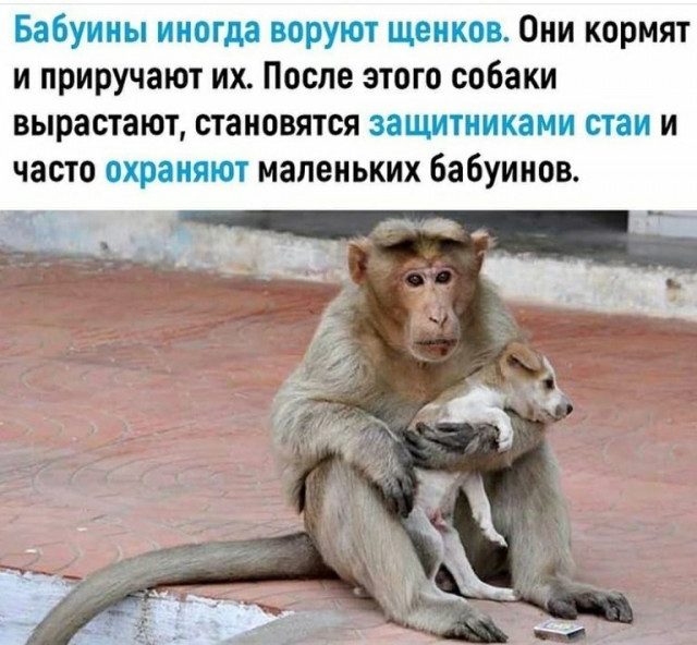 Картинки на вчера