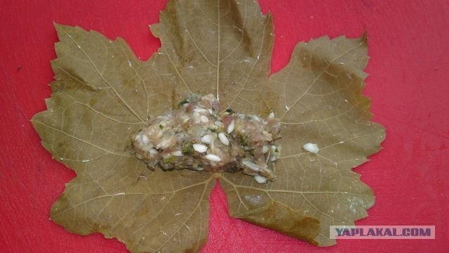 Долма с двуми начинками.