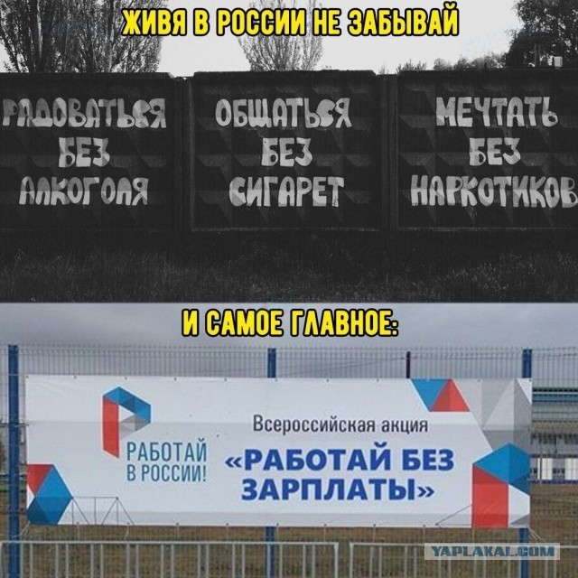 Весёлый полтишок 11.09