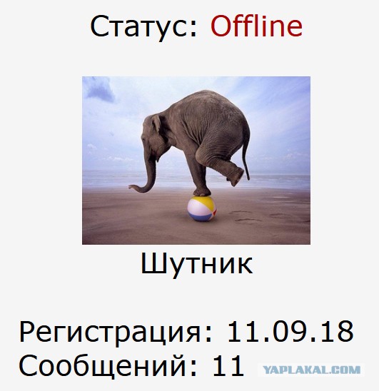 Вышки 5G и совращение несовершеннолетних: абсурдные выходки кандидатов от КПРФ