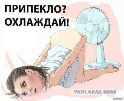 Памятник Сталину. Алёнка залипает