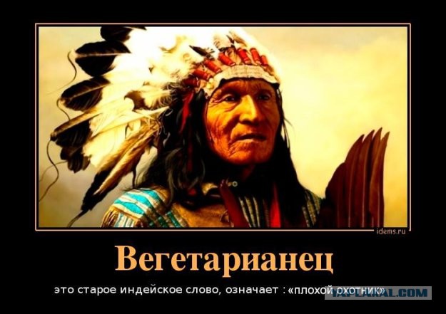 Весёлый полтишок 02.12